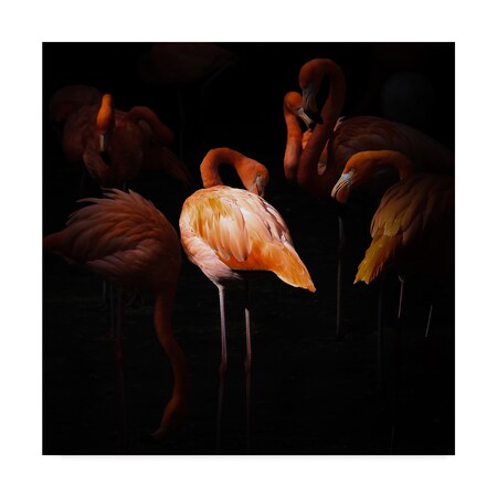 Trademark Fine Art Andreas Krinke 'Where I Stood' Canvas Art, 14x14 1X07415-C1414GG